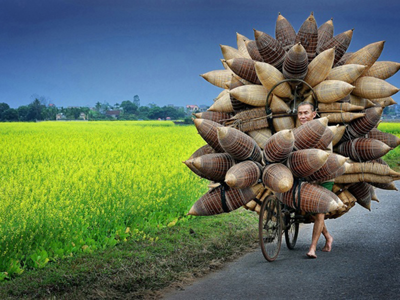 Bức ảnh lão nông Việt Nam gây ấn tượng với toàn thế giới